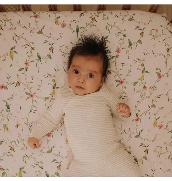 Dreaming of Paradise Crib Sheet- Ivory