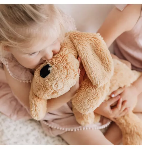 Charlie the Weighted Puppy Dog