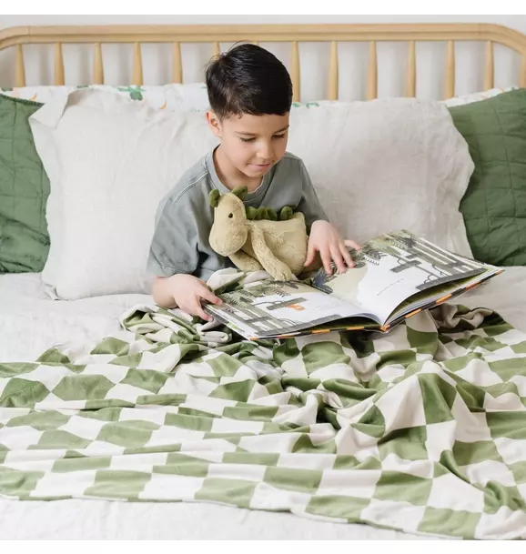 Minky Stretch Blanket in Olive Checkered