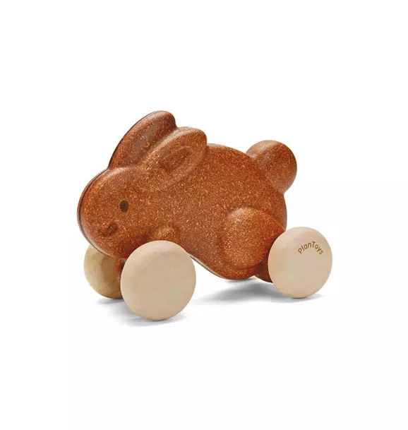 Push Along Bunny - Brown