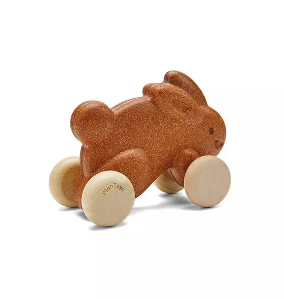 Push Along Bunny - Brown