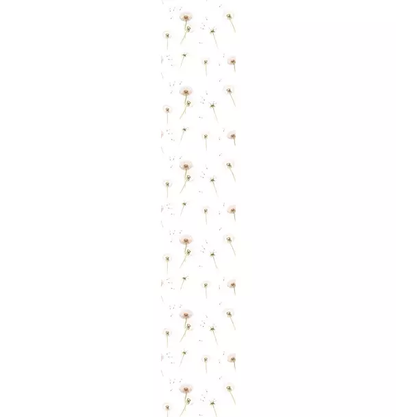Dandelions Wallpaper