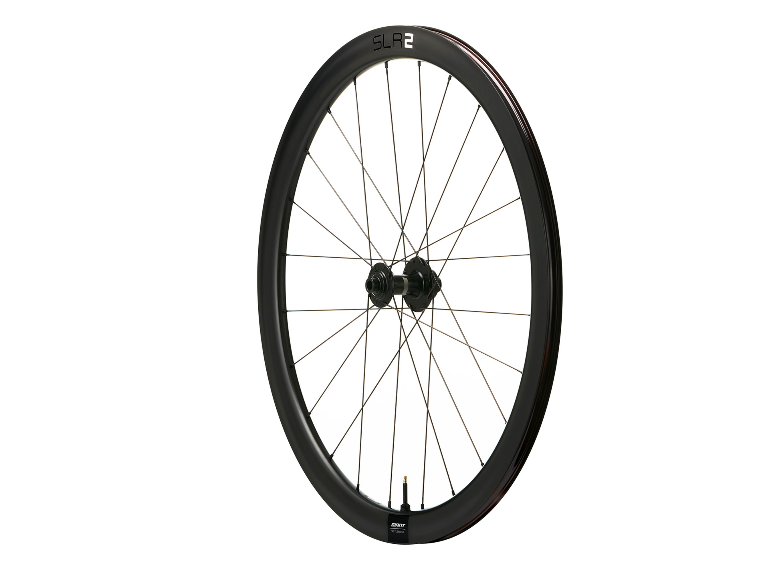 SLR 2 42 Disc