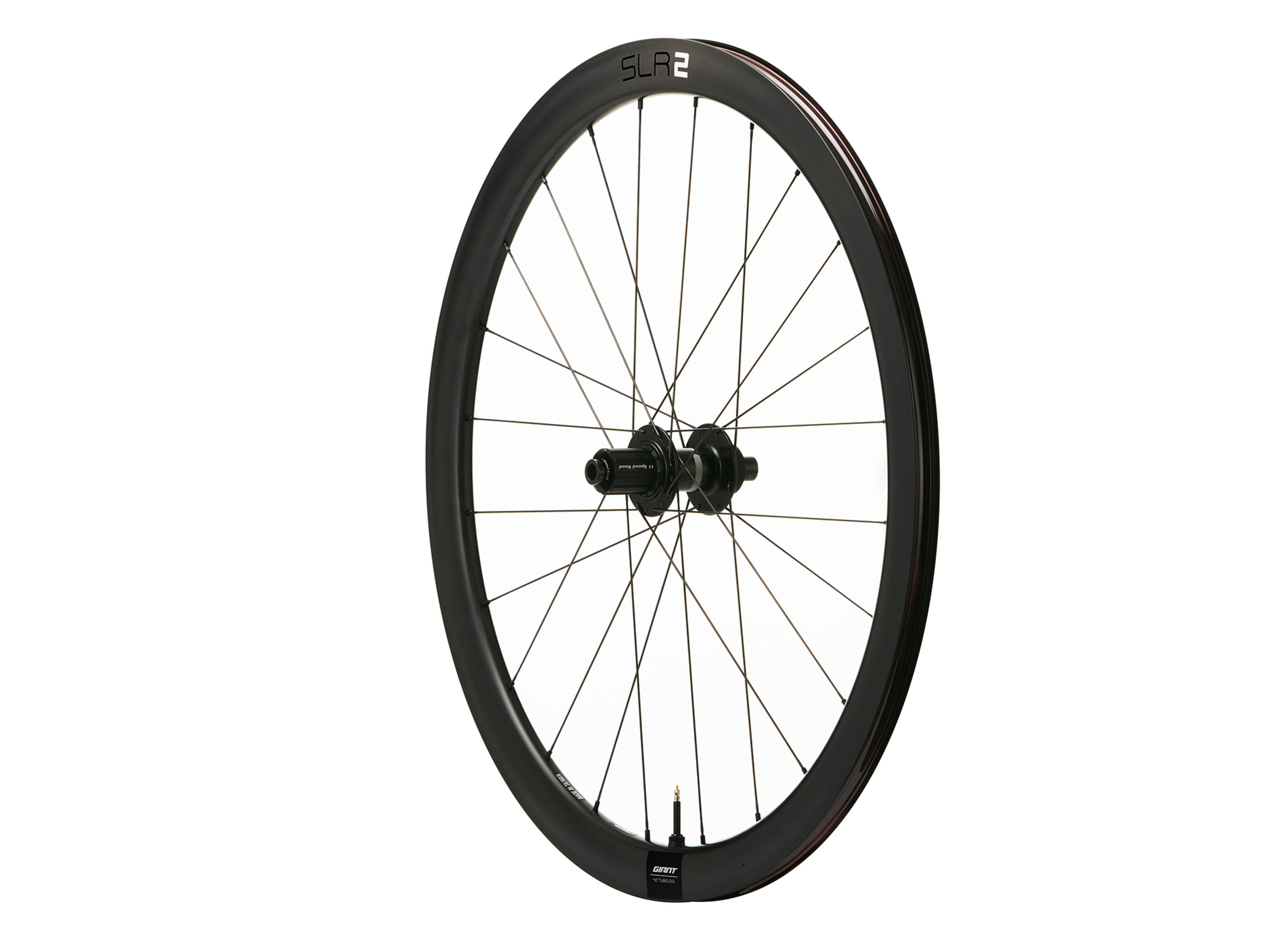 SLR 2 42 Disc