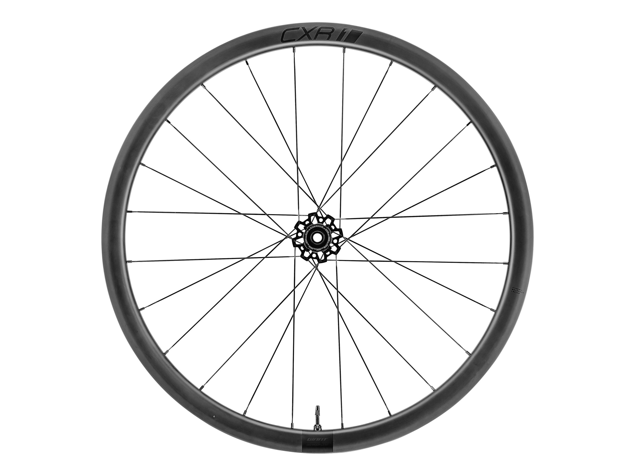 CXR 1