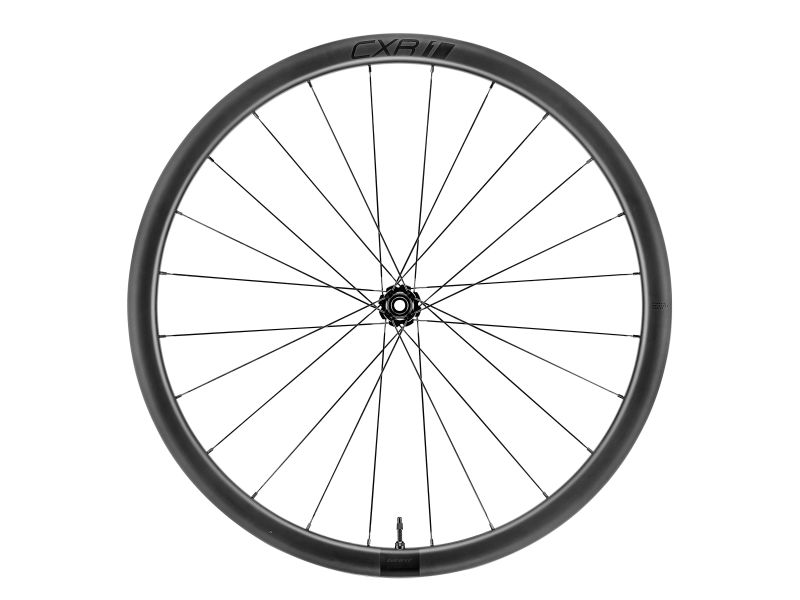CXR 1