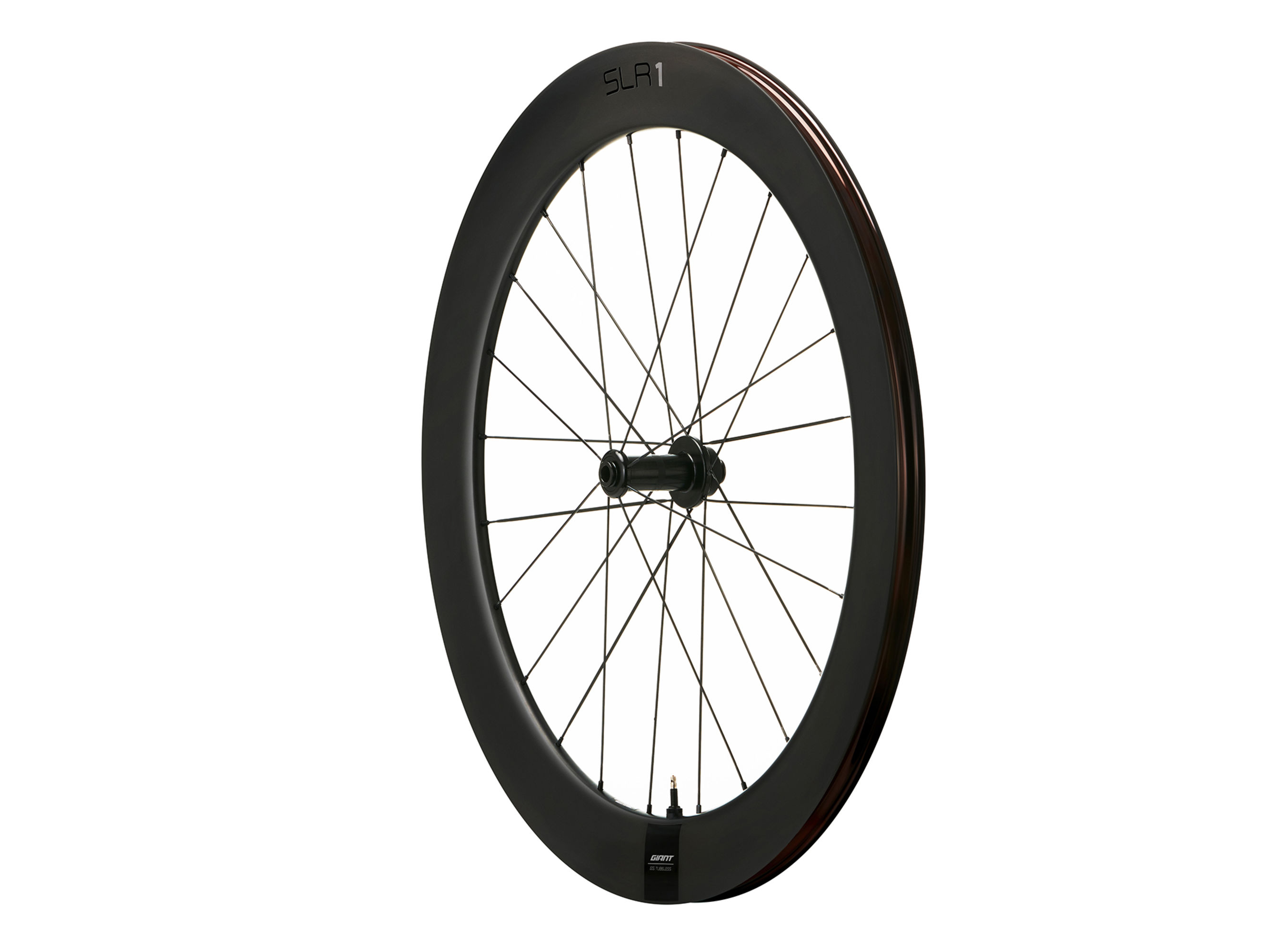 SLR 1 65 Disc