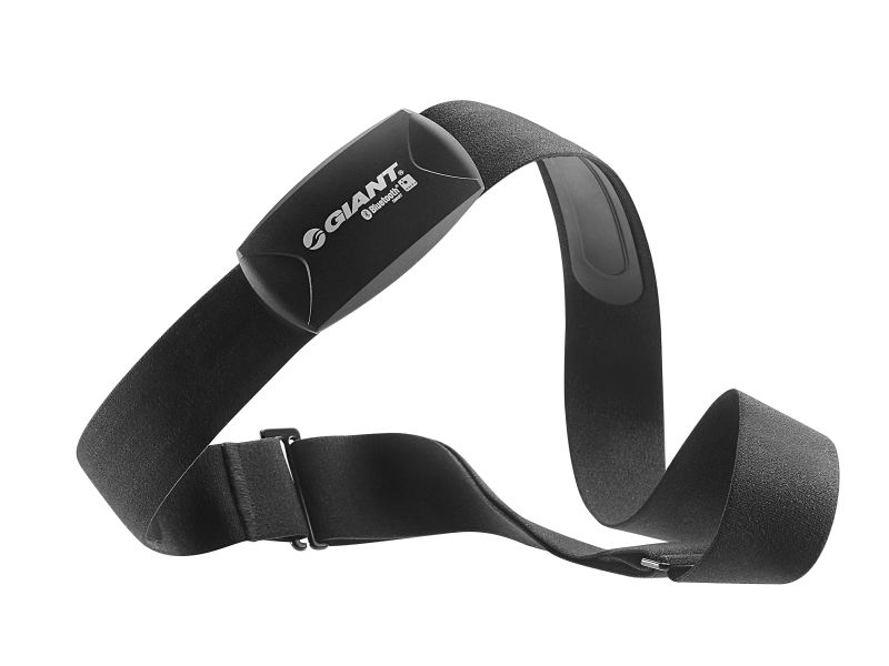 Giant Heart Rate Sensor