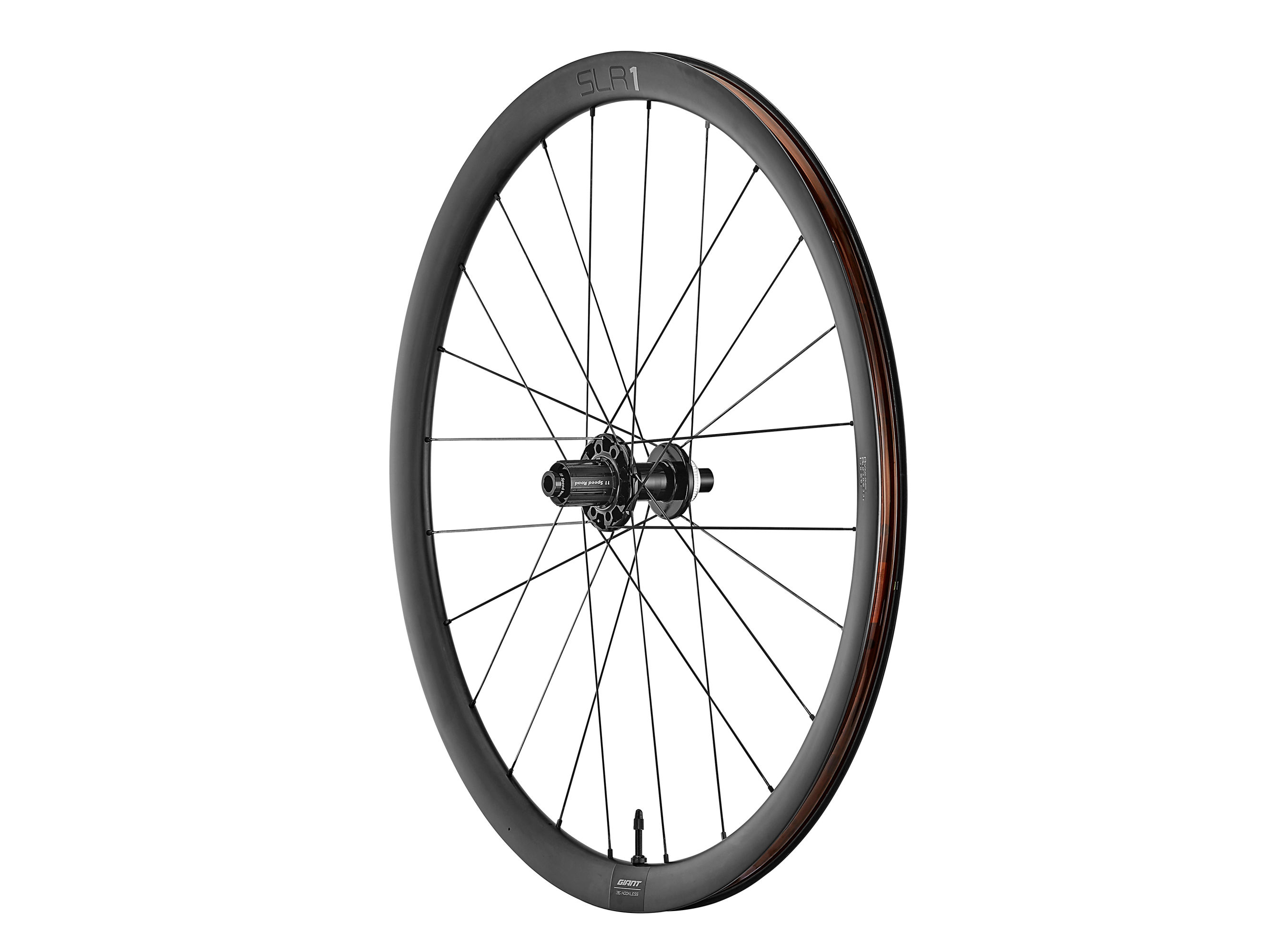 SLR 1 36 Disc Wheelsystem