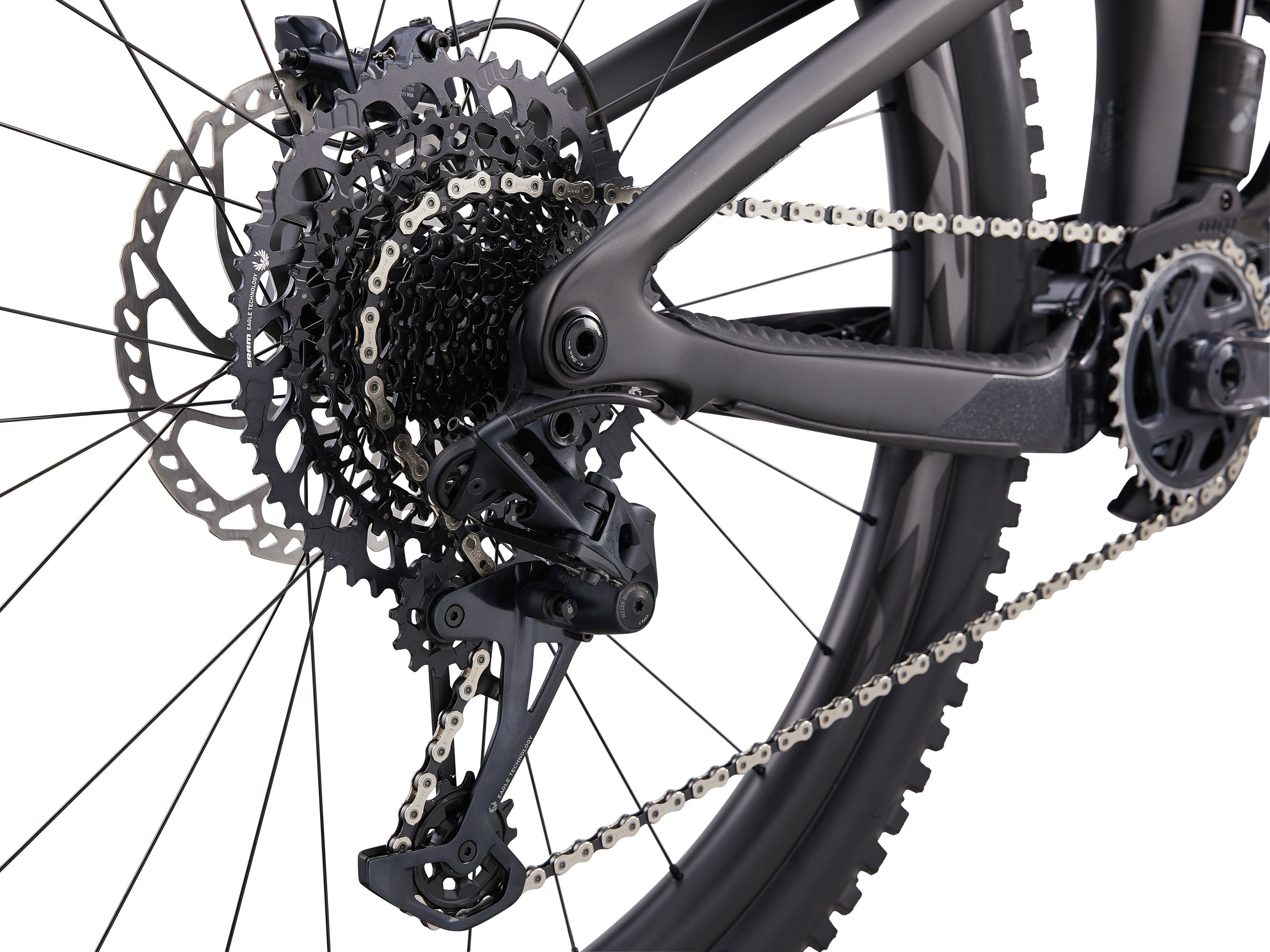 Reign Advanced Pro 1
