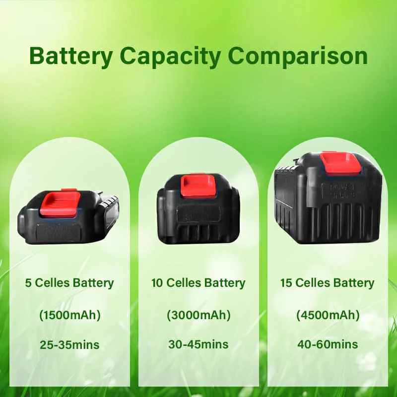 Universal Rechargeable Lithium Battery