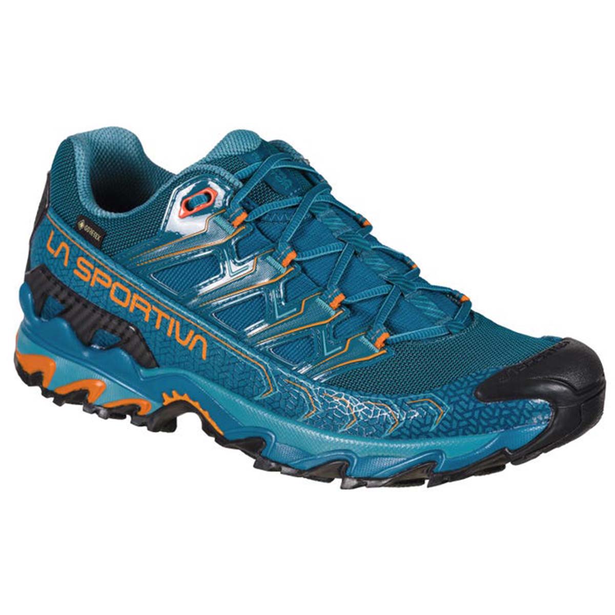 Ultra Raptor II GTX Mens Hiking Shoes Blue