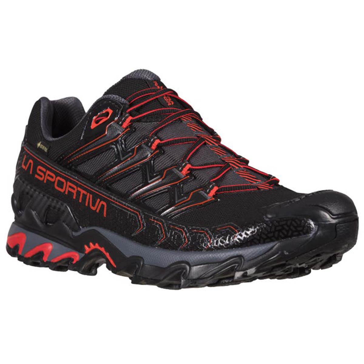 Ultra Raptor II GTX Mens Hiking Shoes Black