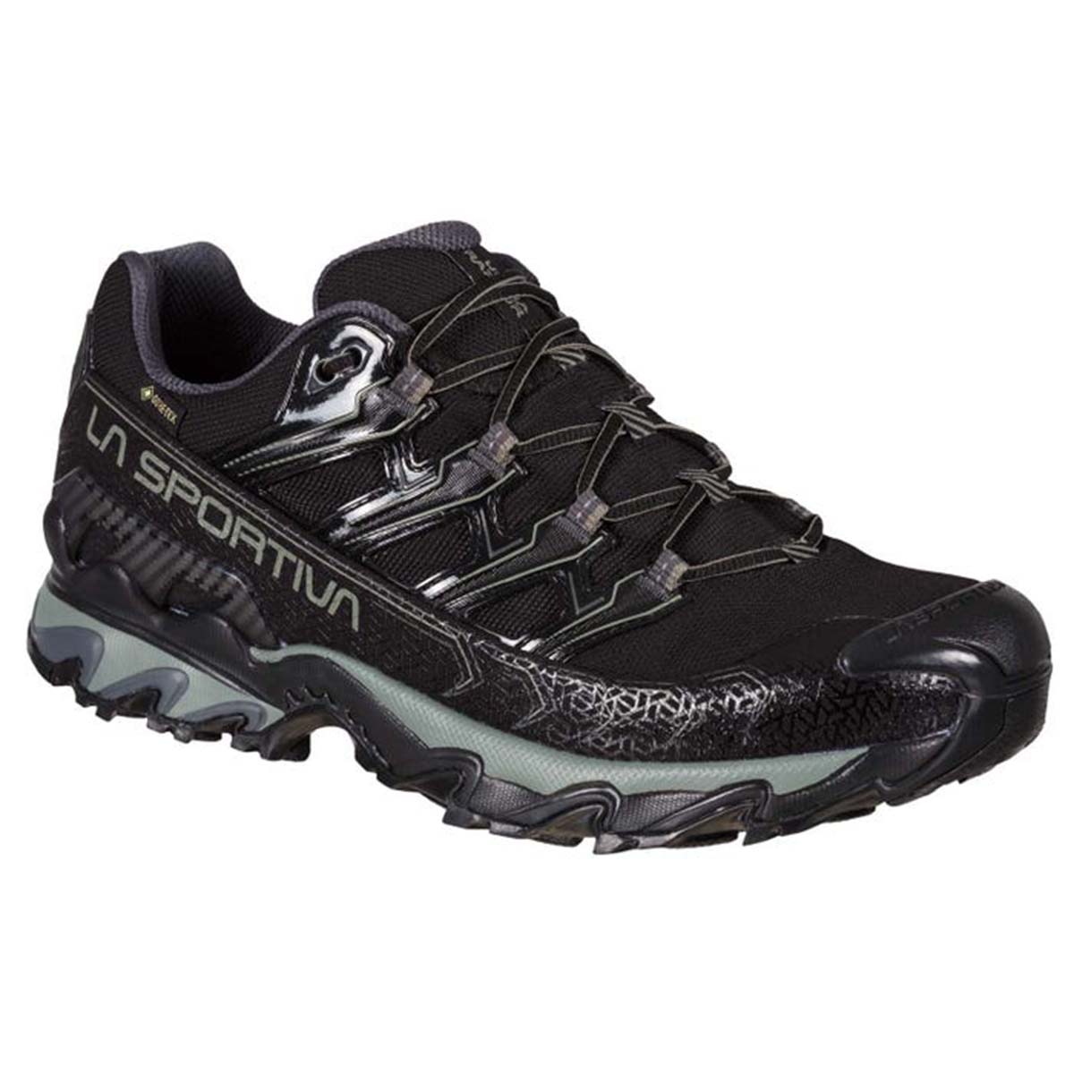 Ultra Raptor II Wide GTX Mens Hiking Shoes Black