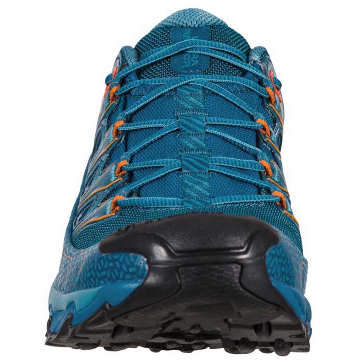 Ultra Raptor II GTX Mens Hiking Shoes Blue