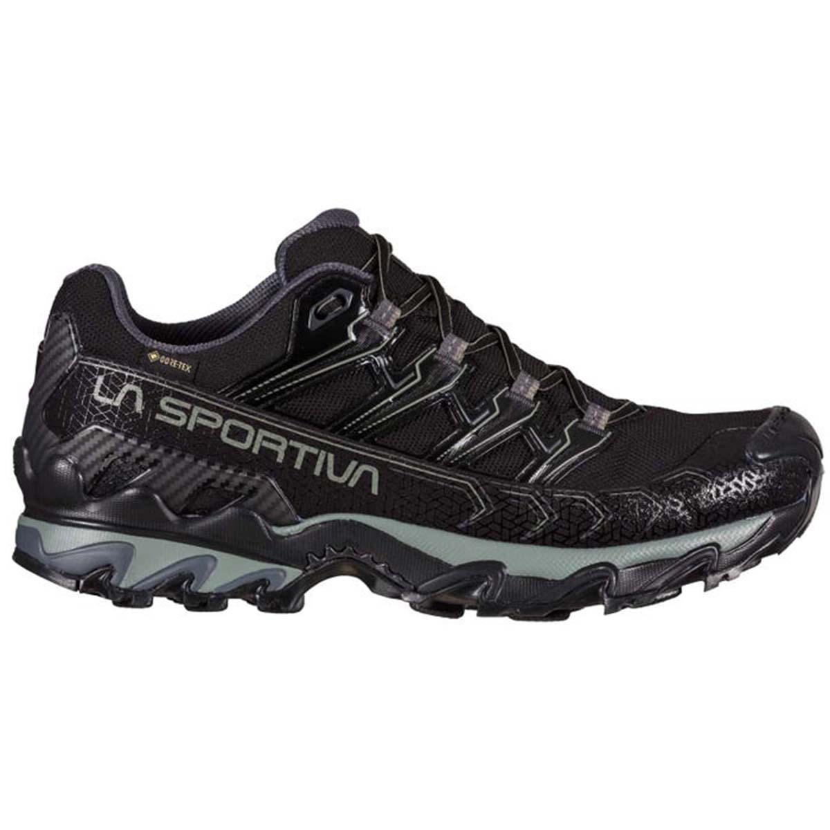 Ultra Raptor II Wide GTX Mens Hiking Shoes Black