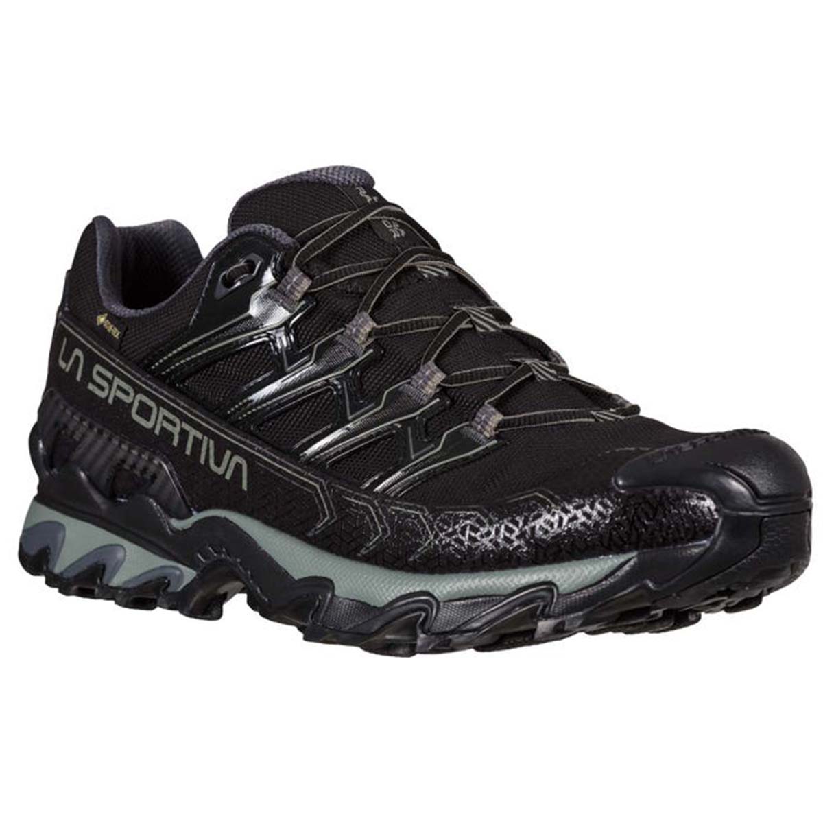 Ultra Raptor II Wide GTX Mens Hiking Shoes Black