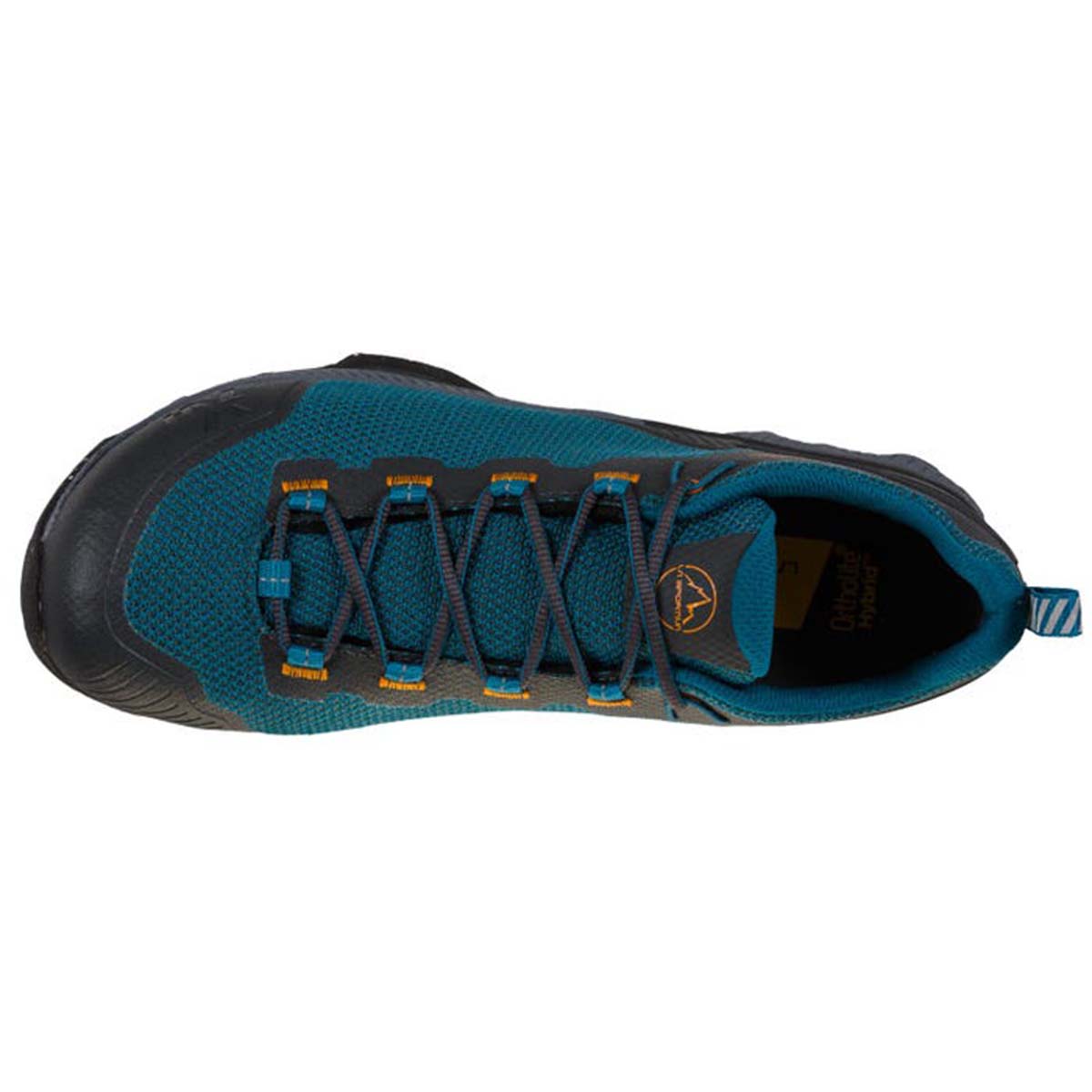 TX Hike GTX Mens Hiking Shoes Blue