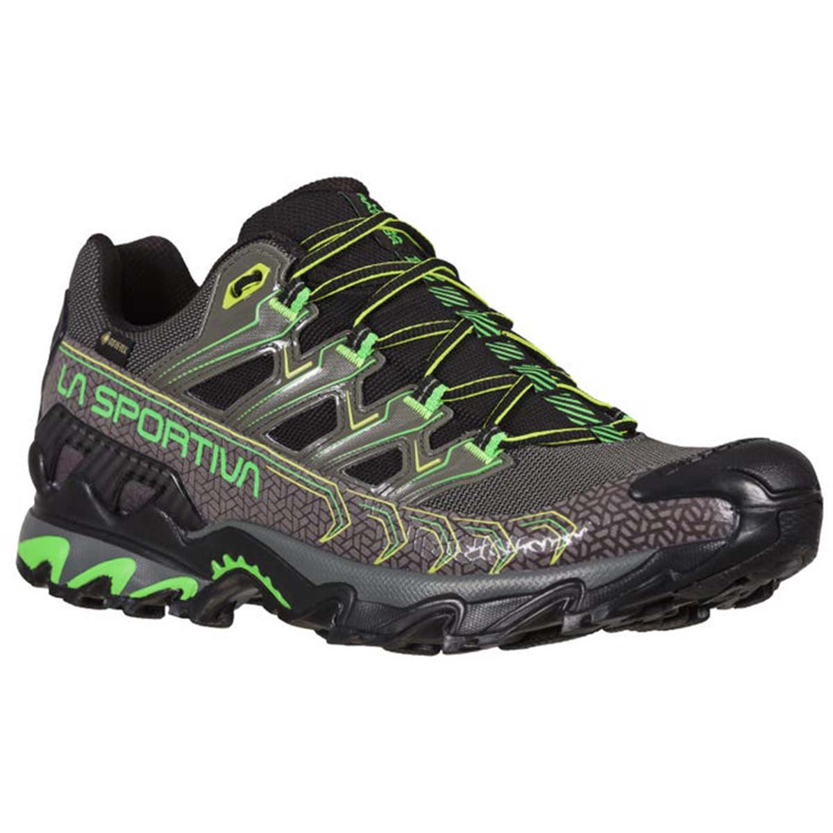 Ultra Raptor II GTX Mens Hiking Shoes Grey