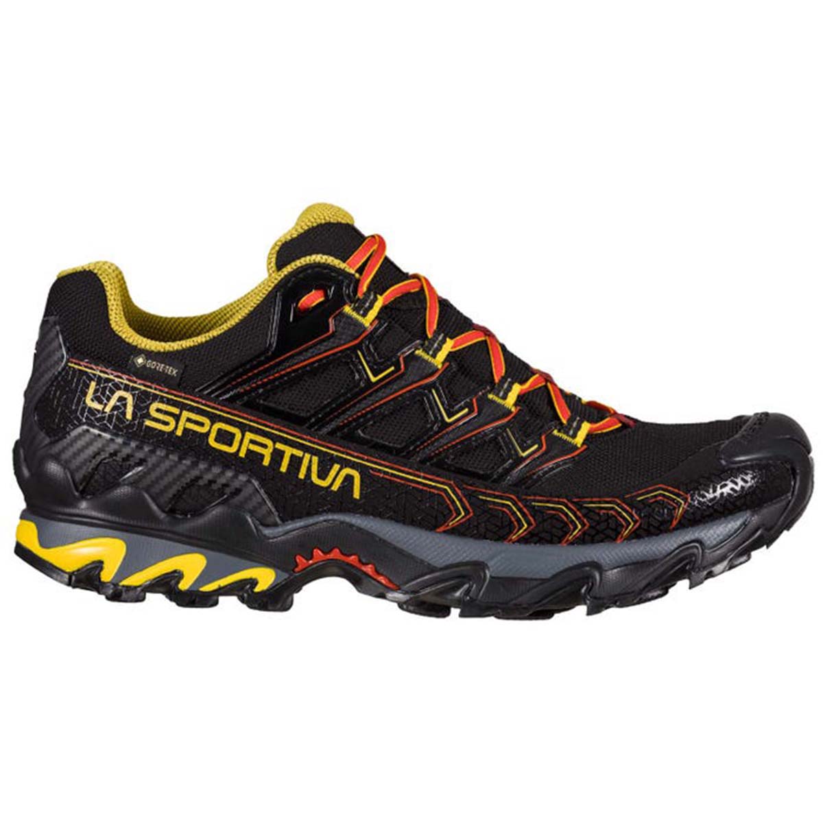 Ultra Raptor II GTX Mens Hiking Shoes Black