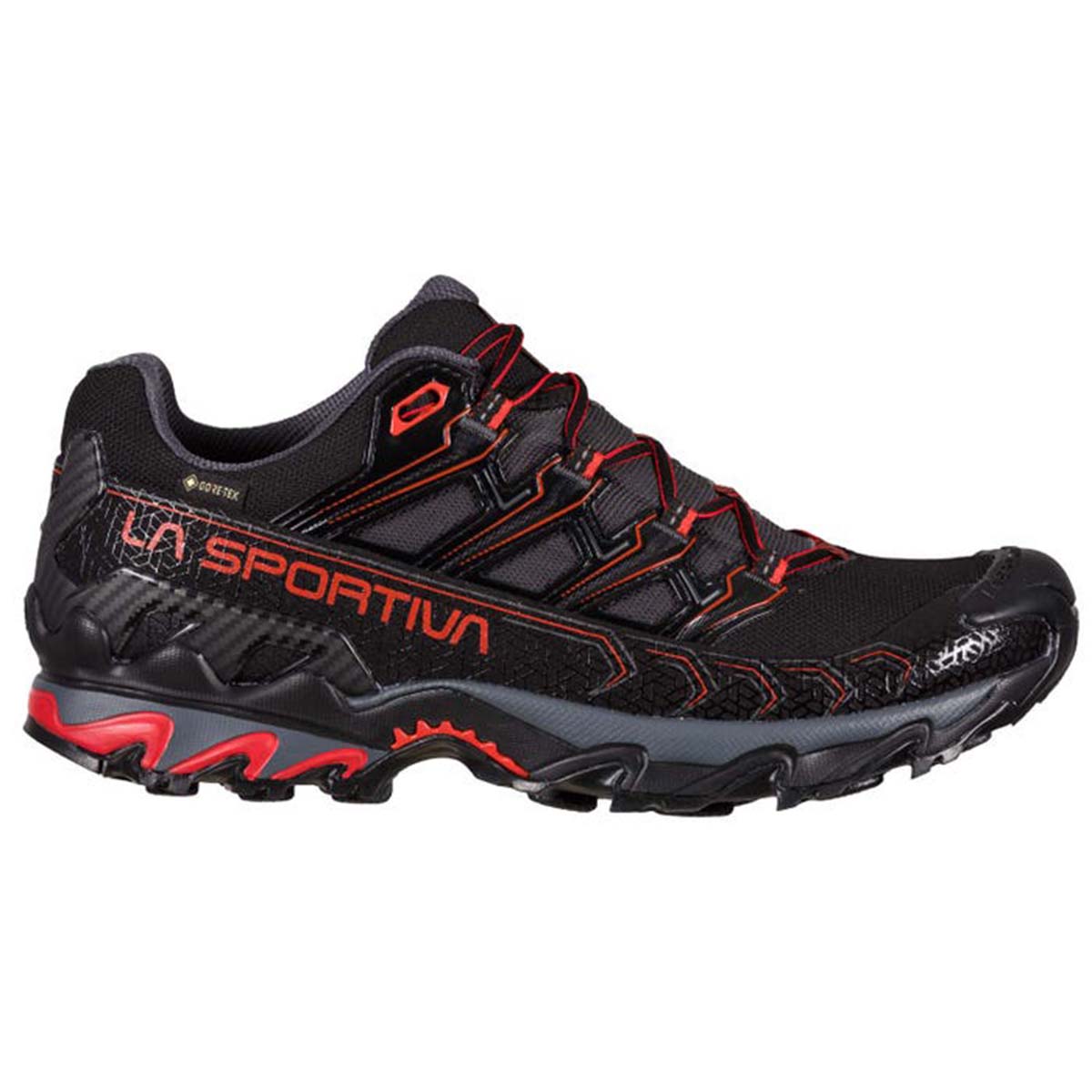 Ultra Raptor II GTX Mens Hiking Shoes Black