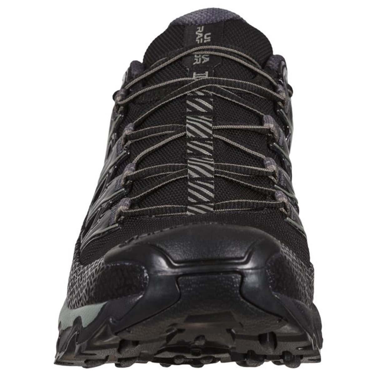 Ultra Raptor II GTX Mens Hiking Shoes Black