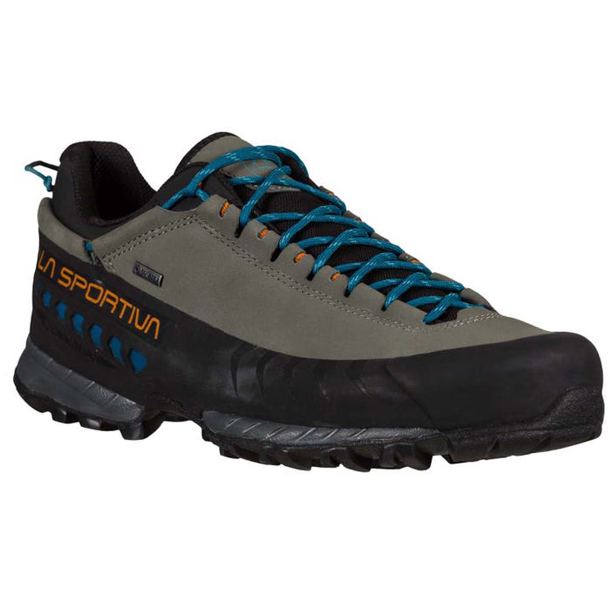 TX5 Low GTX Mens Hiking Shoes Grey