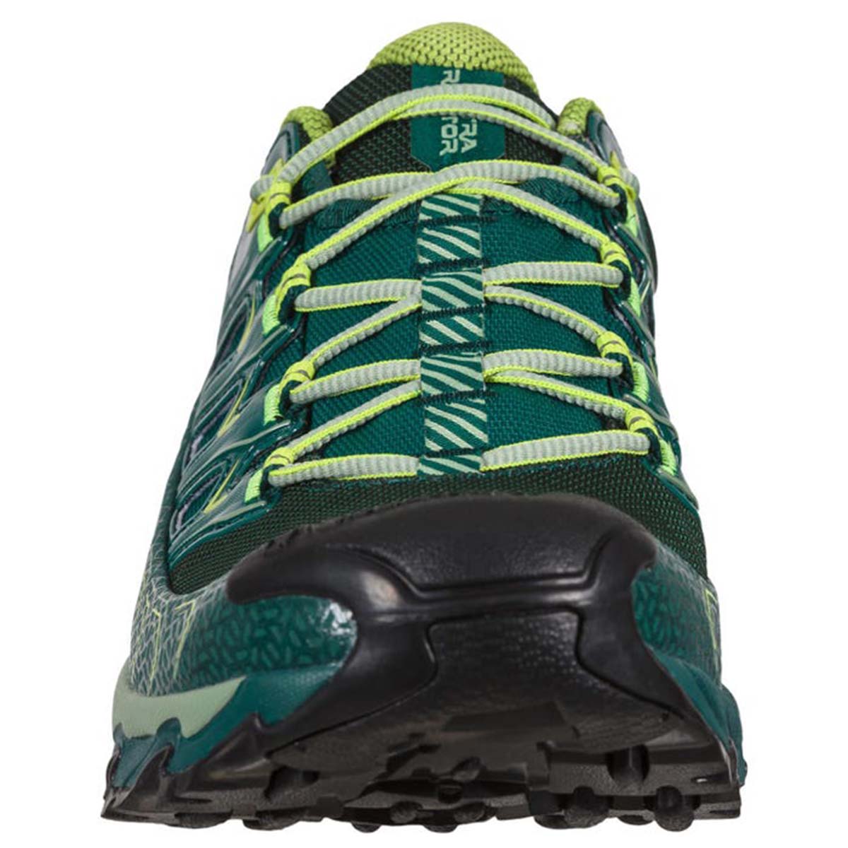 Ultra Raptor II GTX Mens Hiking Shoes Green