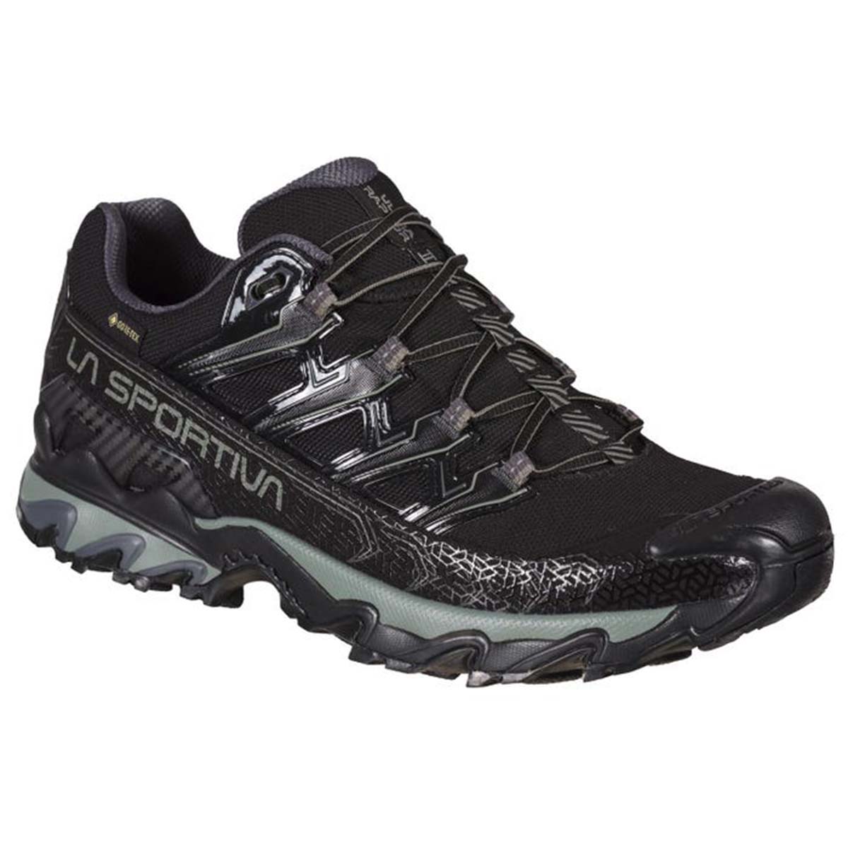 Ultra Raptor II GTX Mens Hiking Shoes Black