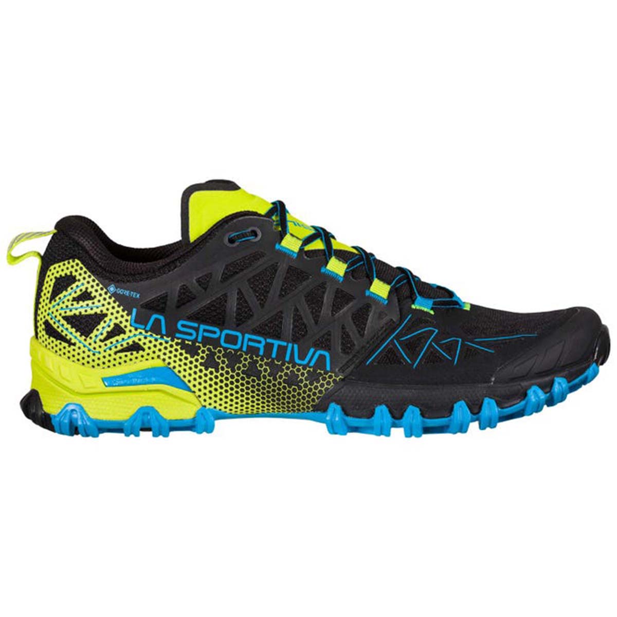 Bushido II GTX Mens Trail Running Shoes Black
