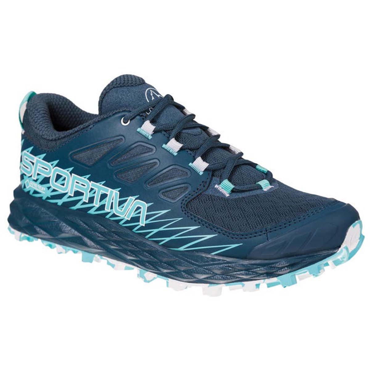 Lycan GTX Womens Trail Running Shoes Blue