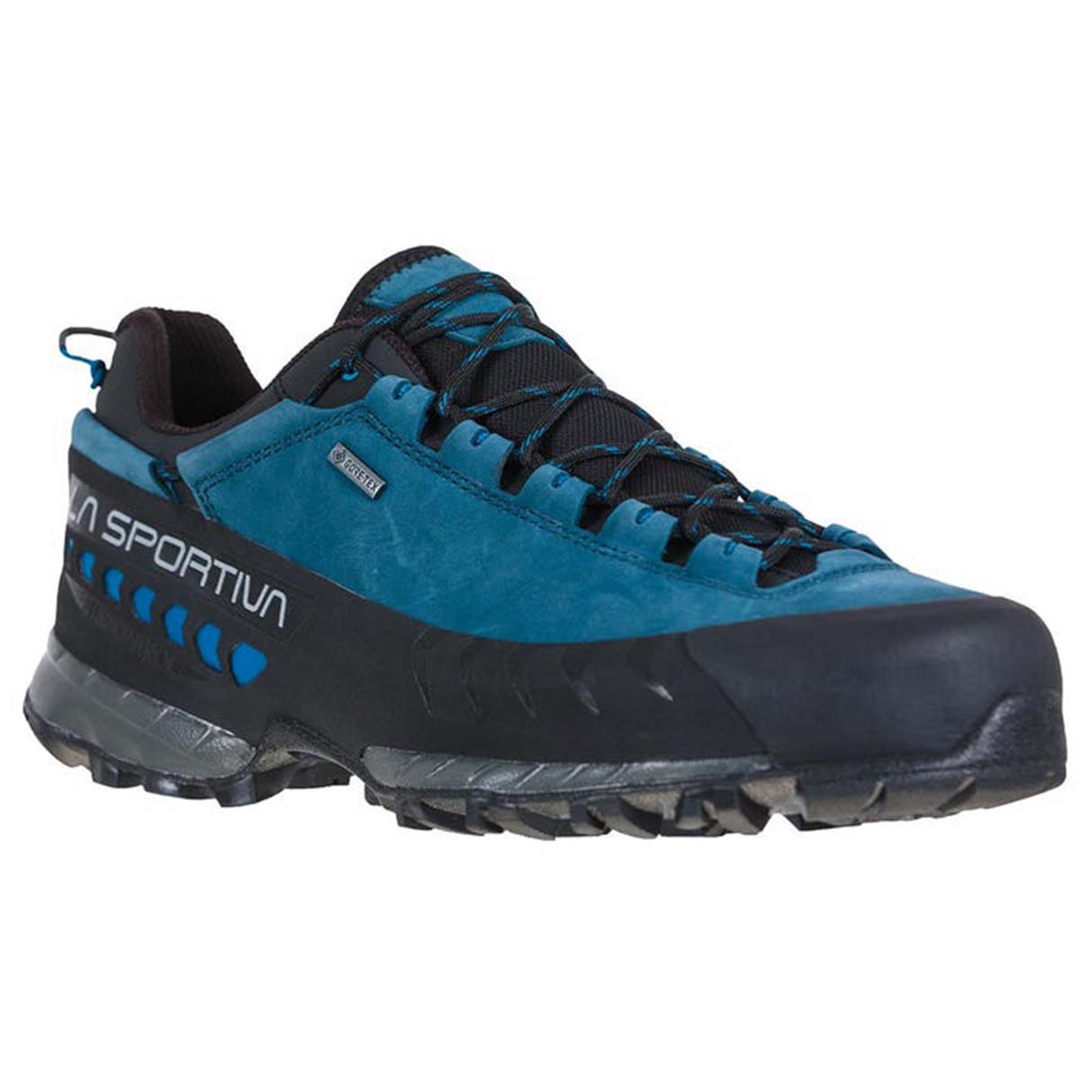 TX5 Low GTX Mens Hiking Shoes Blue