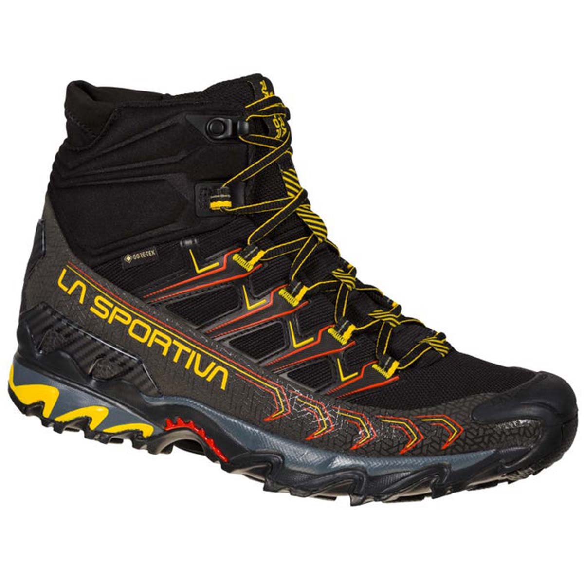 Ultra Raptor II Mid GTX Mens Hiking Shoes Black