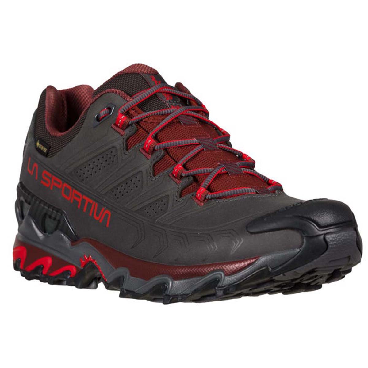 Ultra Raptor II Leather GTX Mens Hiking Shoes Grey