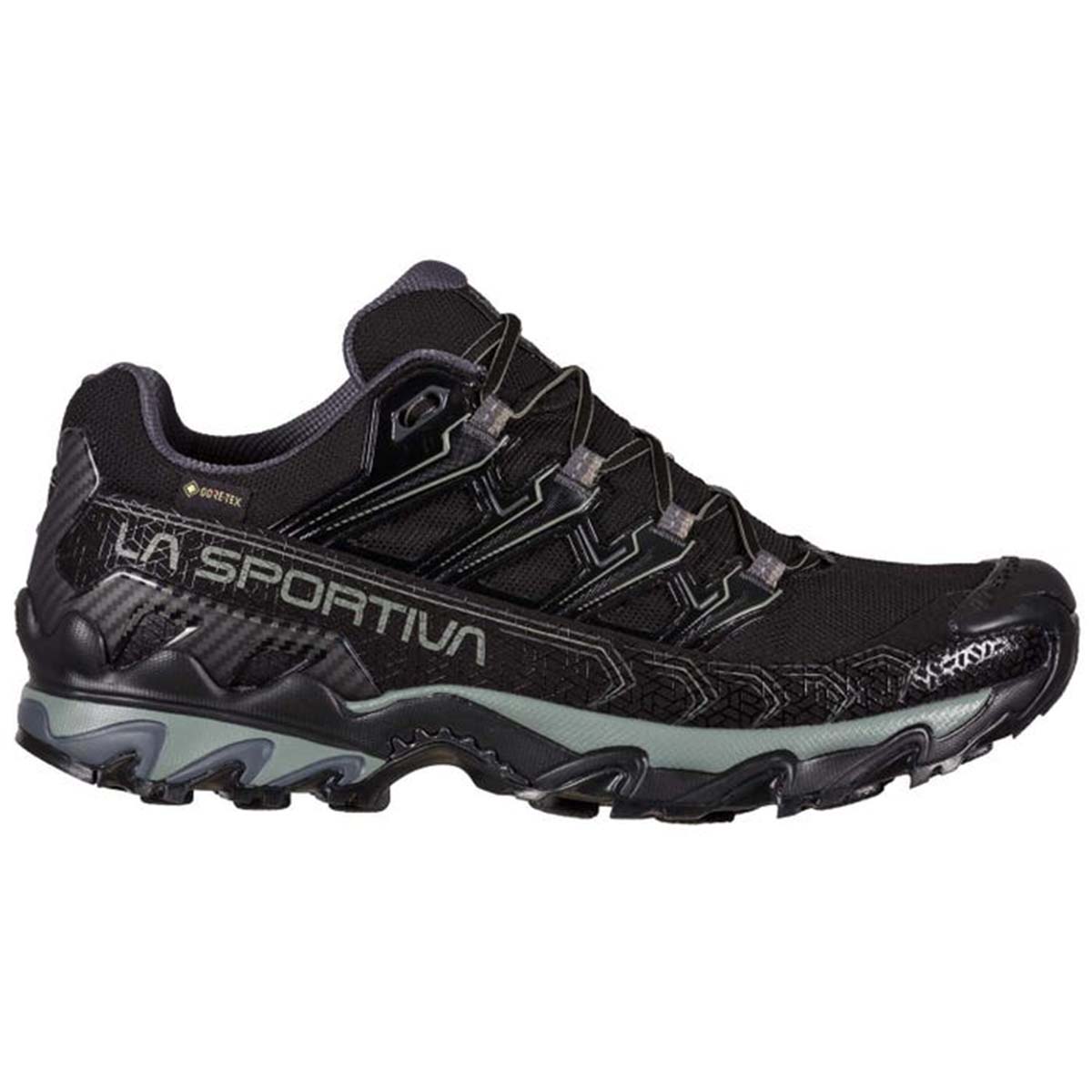 Ultra Raptor II GTX Mens Hiking Shoes Black