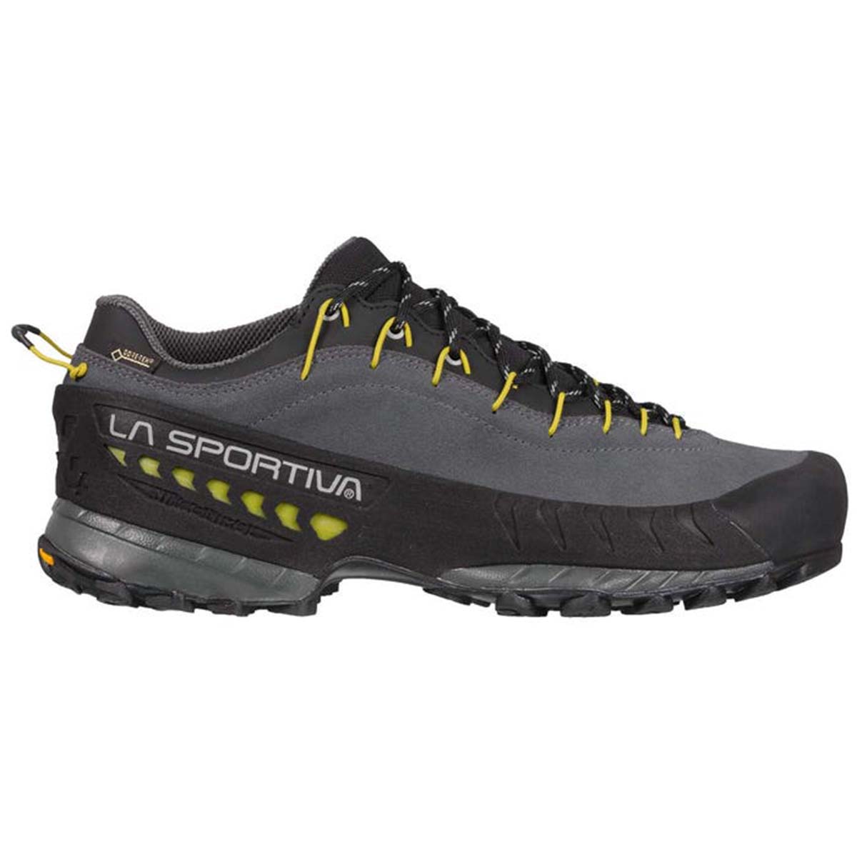 TX4 GTX Mens Approach Shoes Grey