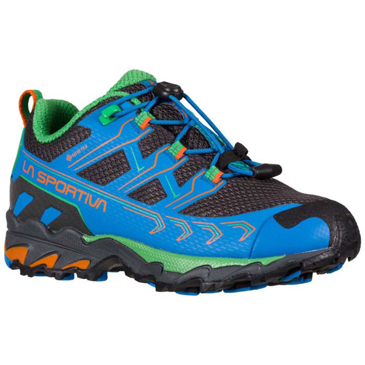 Ultra Raptor II JR GTX Kids Hiking Shoes Blue