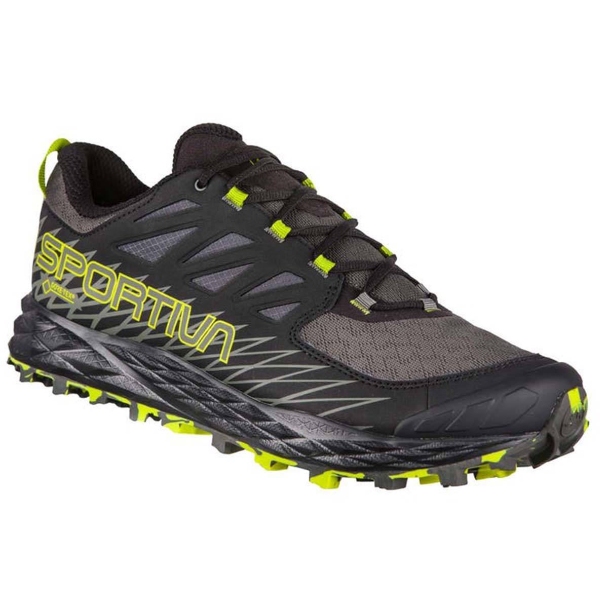 Lycan GTX Mens Trail Running Shoes Grey