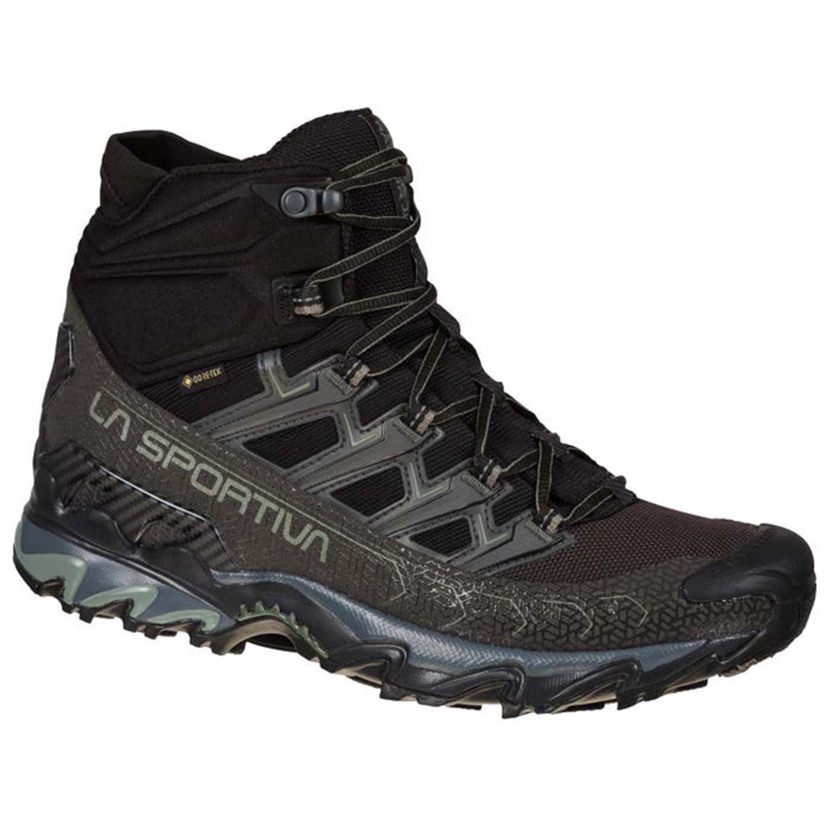 Ultra Raptor II Mid GTX Mens Hiking Shoes Black
