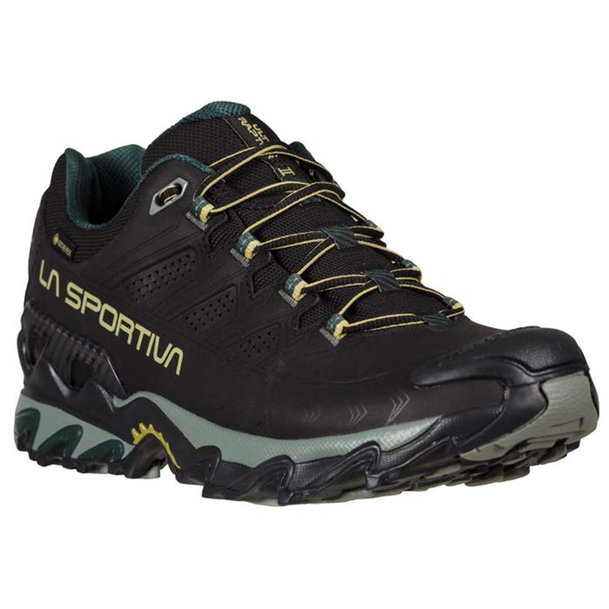 Ultra Raptor II Leather GTX Mens Hiking Shoes Black