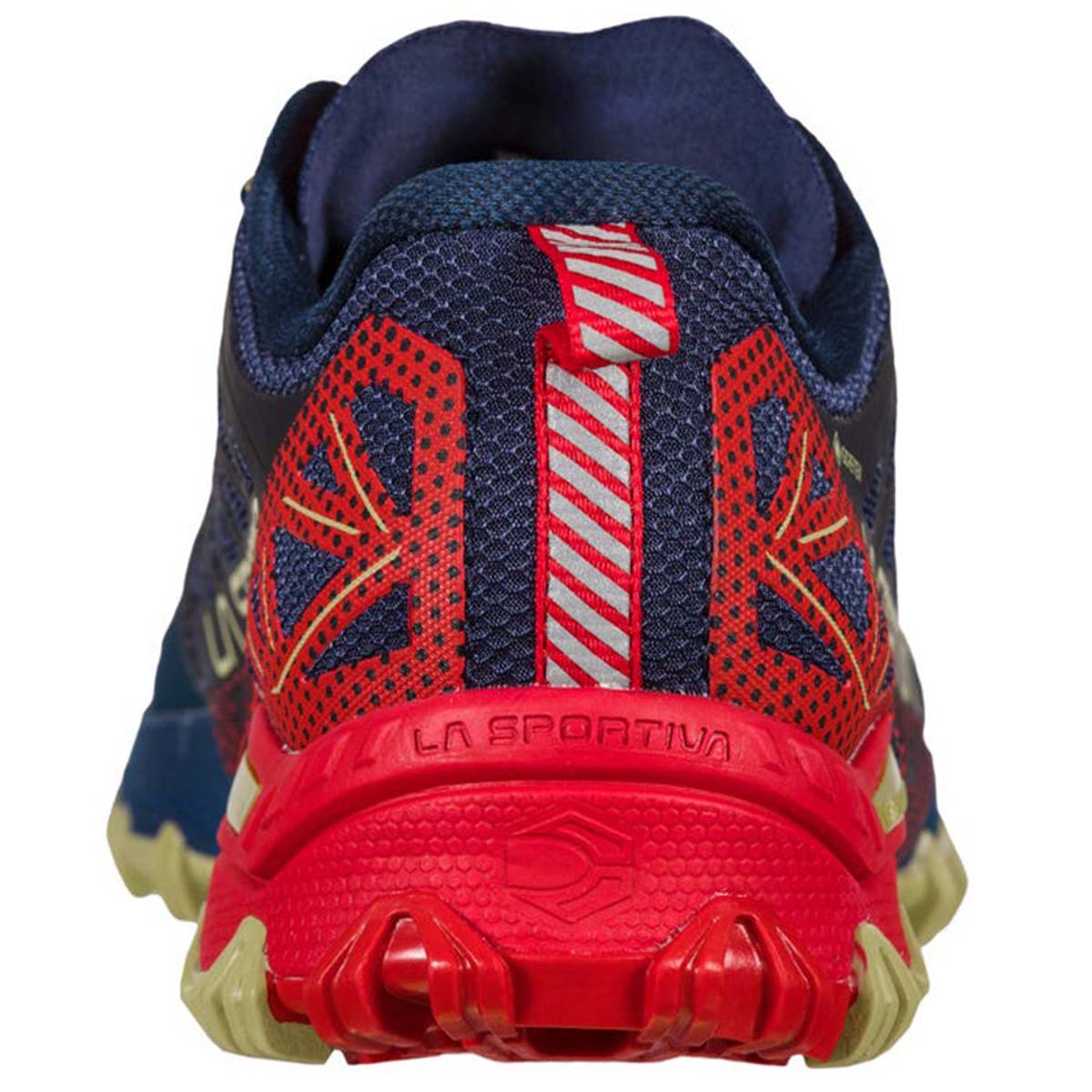 Bushido II GTX Mens Trail Running Shoes Blue