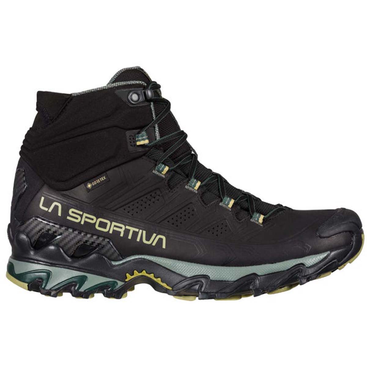 Ultra Raptor II Mid Leather GTX Mens Hiking Shoes Black