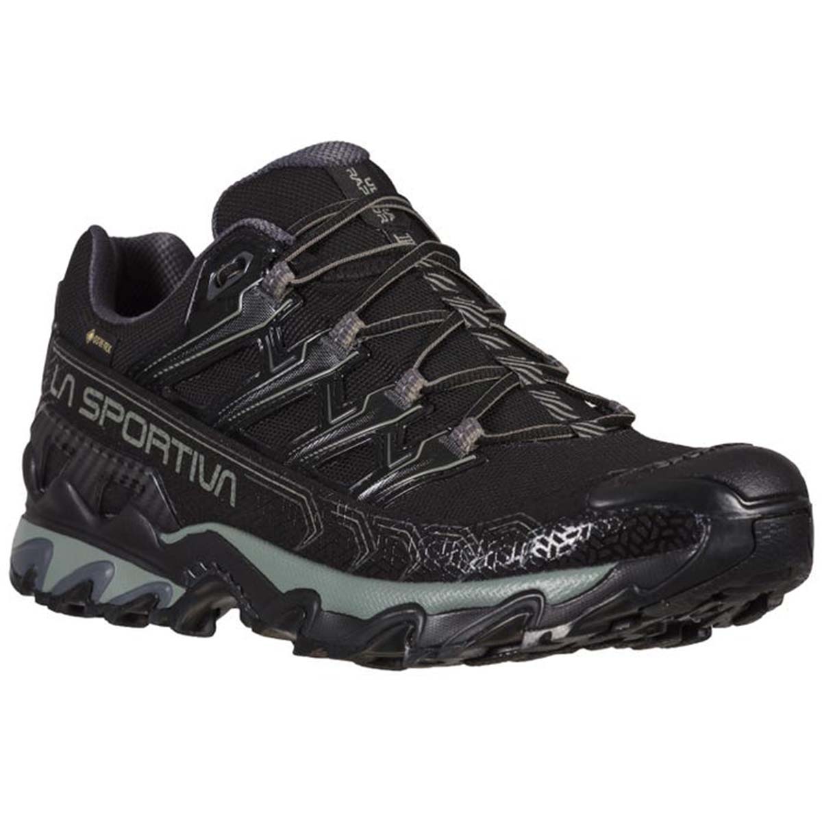 Ultra Raptor II GTX Mens Hiking Shoes Black