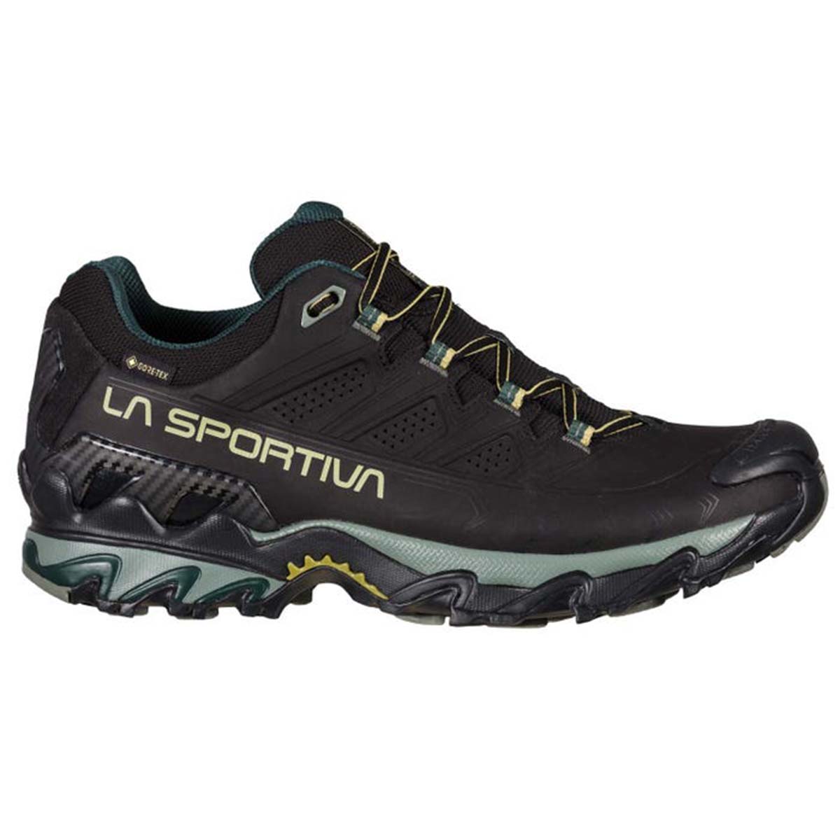 Ultra Raptor II Leather GTX Mens Hiking Shoes Black