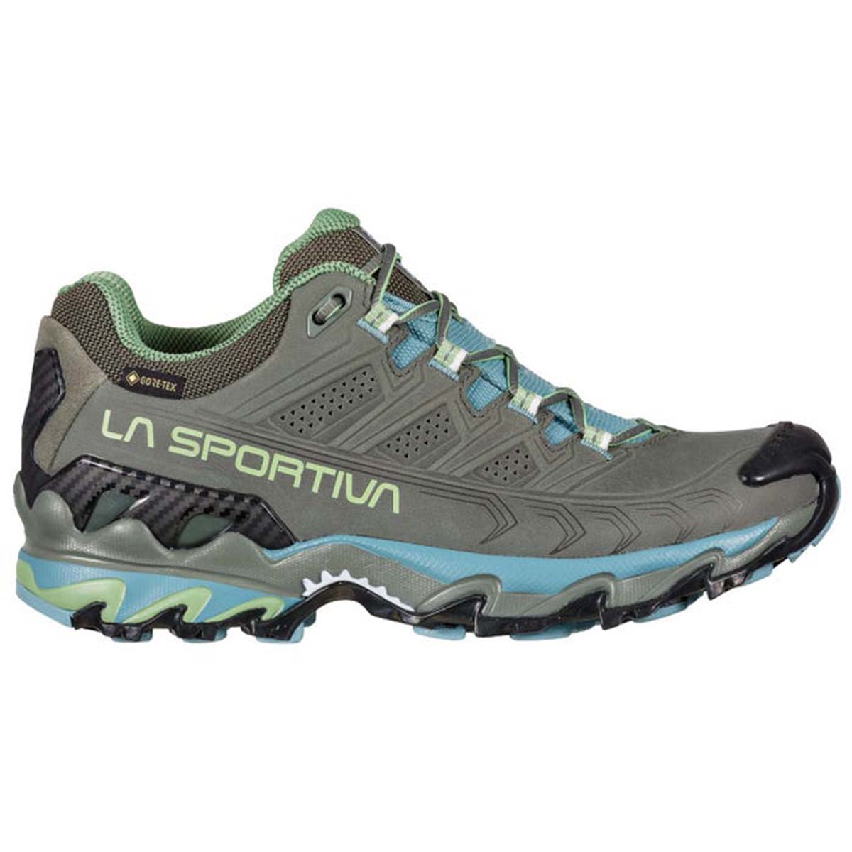 Ultra Raptor II Leather GTX Womens Hiking Shoes Grey