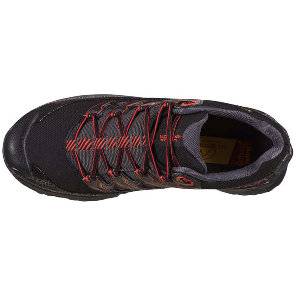 Ultra Raptor II GTX Mens Hiking Shoes Black