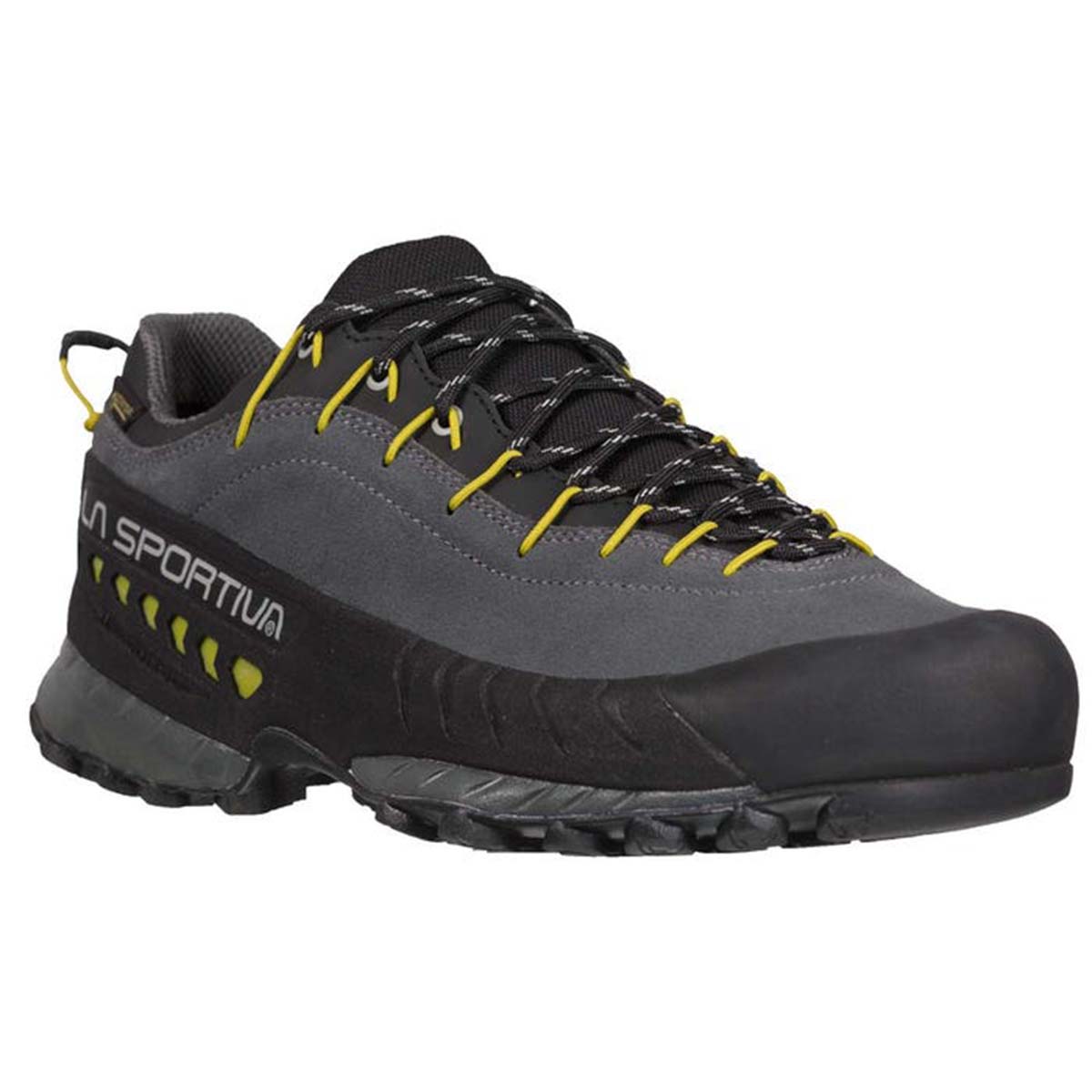 TX4 GTX Mens Approach Shoes Grey