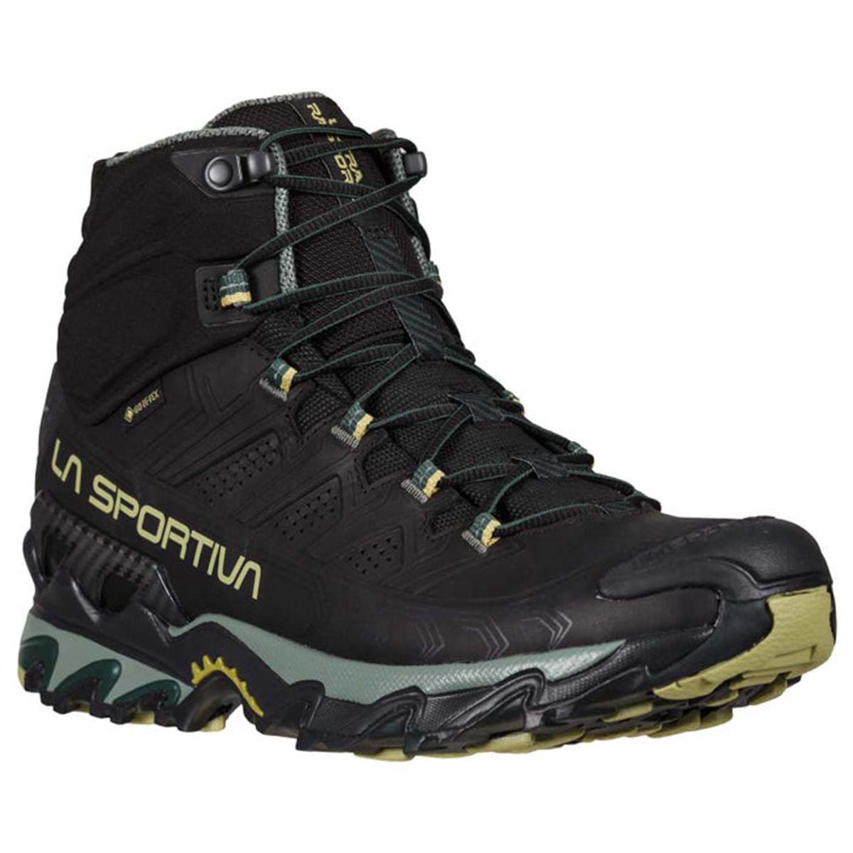 Ultra Raptor II Mid Leather GTX Mens Hiking Shoes Black