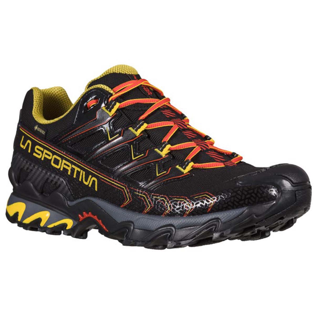 Ultra Raptor II GTX Mens Hiking Shoes Black
