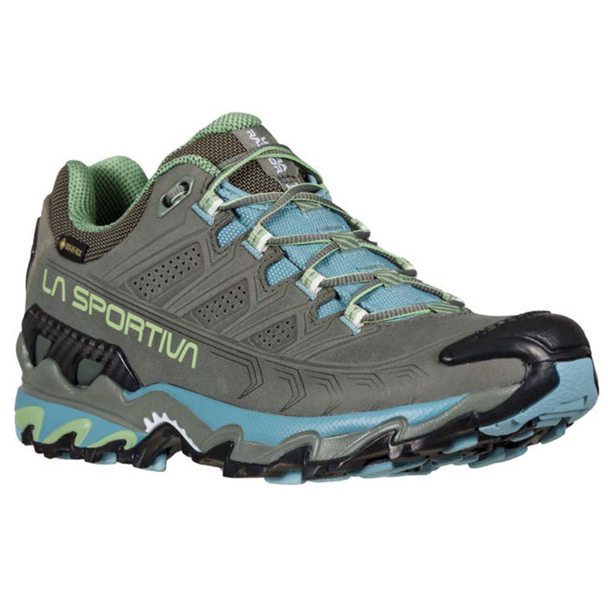 Ultra Raptor II Leather GTX Womens Hiking Shoes Grey